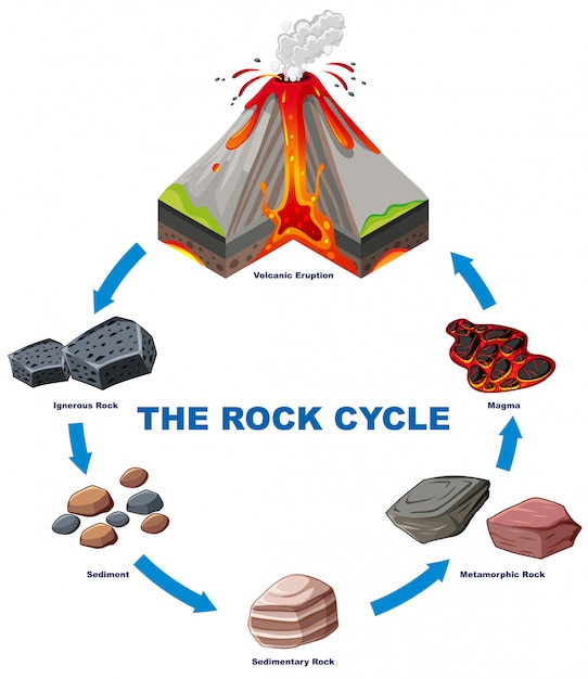 Vettore gratuito diagramma che mostra il ciclo di roccia