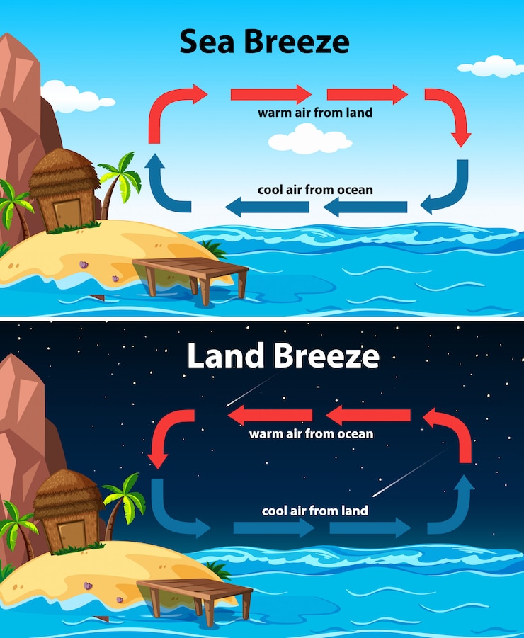 Free Vector diagram showing sea and land breeze