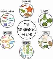 Free vector diagram showing six kingdoms of life