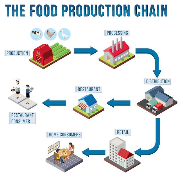 Free vector diagram of supply chain management