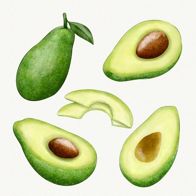 Free vector different angles of avocado fruit