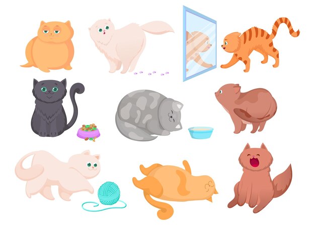 Different breeds of cute kittens illustrations set