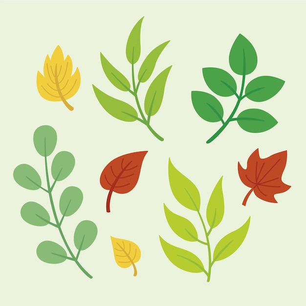 무료 벡터 다른 다채로운 잎 컬렉션 평면 디자인