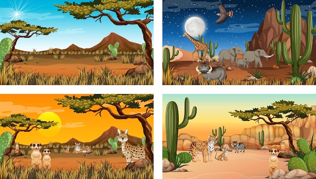 Различные сцены пейзажа пустынного леса с животными и растениями