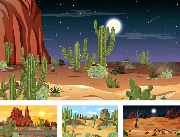 Различные сцены ландшафта пустынного леса с различными пустынными растениями