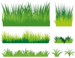 Different doodles of grass