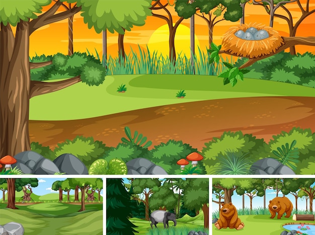 Free vector different forest scenes with wild animals