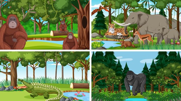 Различные лесные сцены с дикими животными
