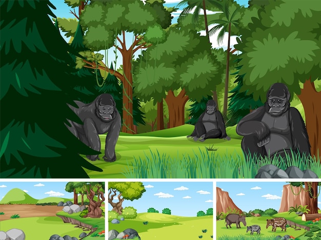 Free vector different forest scenes with wild animals