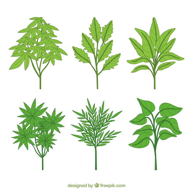 Free vector different hand drawn plants