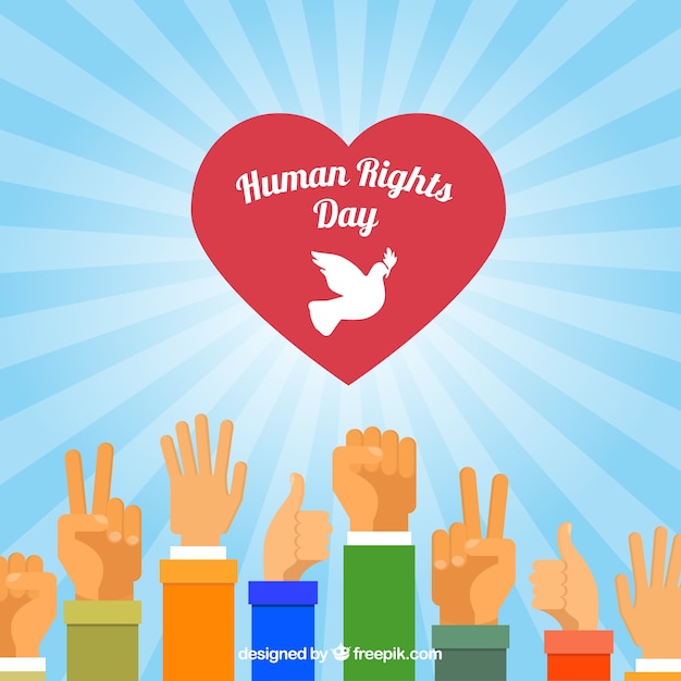 Vettore gratuito diverse le mani e un cuore, giornata dei diritti umani