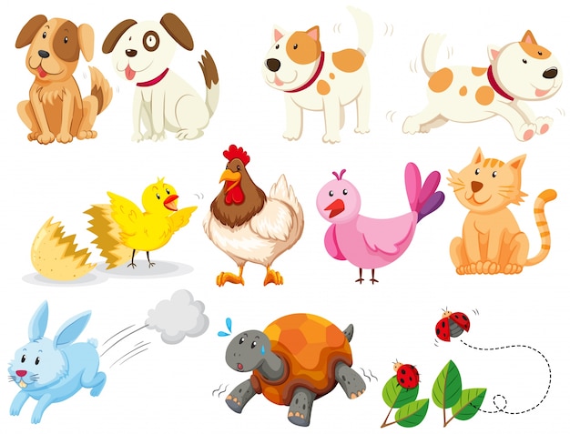 Different kind of domestic animals illustration