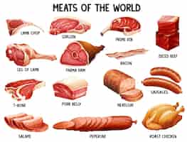 Vettore gratuito diversi tipi di carni nel mondo