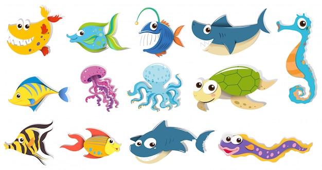 Vettore gratuito diversi tipi di animali marini