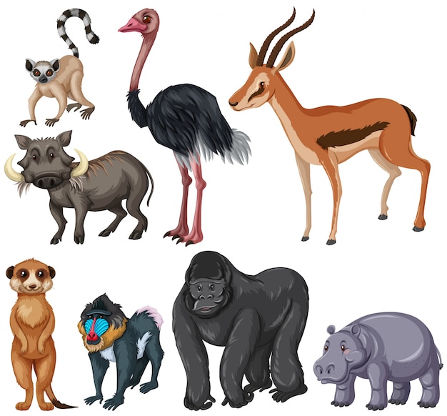 Free vector different kind of wildlife animals illustration