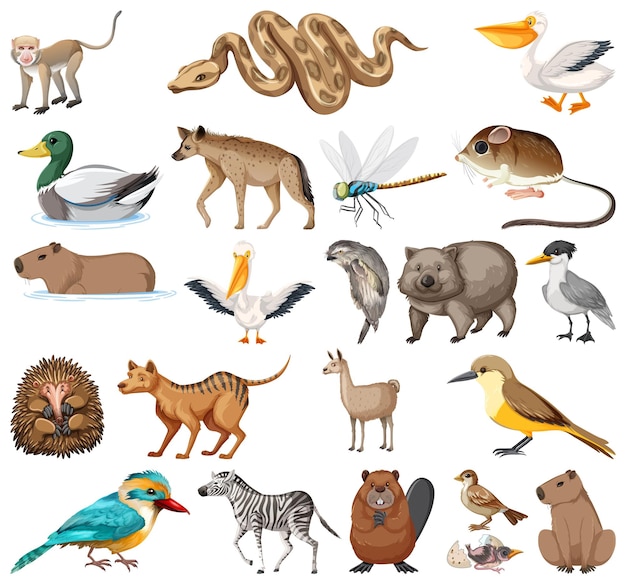 Free vector different kinds of animals collection