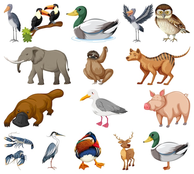 Free vector different kinds of animals collection