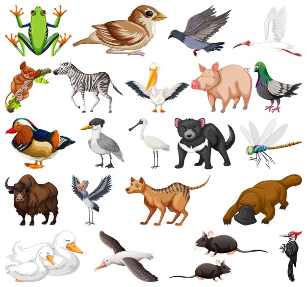さまざまな種類の動物コレクション