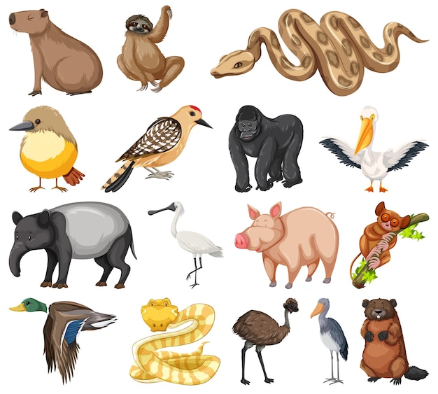 Free vector different kinds of animals collection