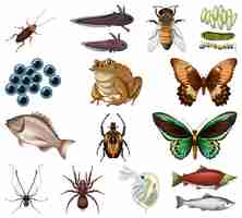 Free vector different kinds of insects and animals on white background