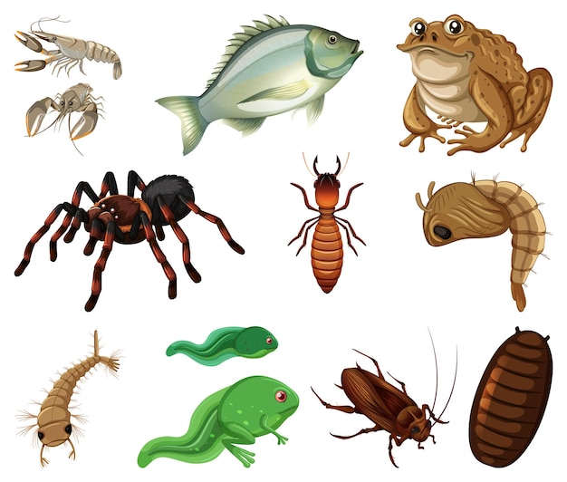 Free vector different kinds of insects and animals on white background