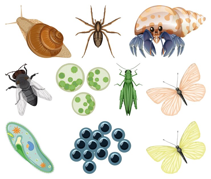 Free Vector different kinds of insects and animals on white background