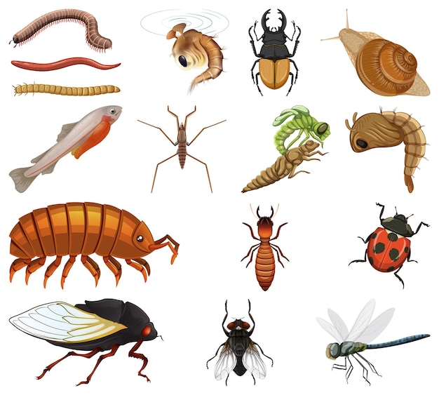 Free vector different kinds of insects and animals on white background