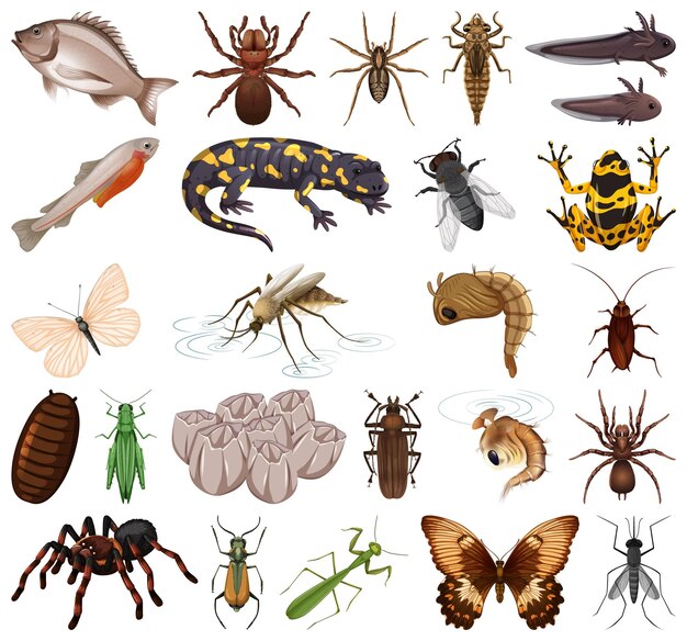 白い背景の上のさまざまな種類の昆虫や動物