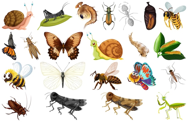 Free vector different kinds of insects collection