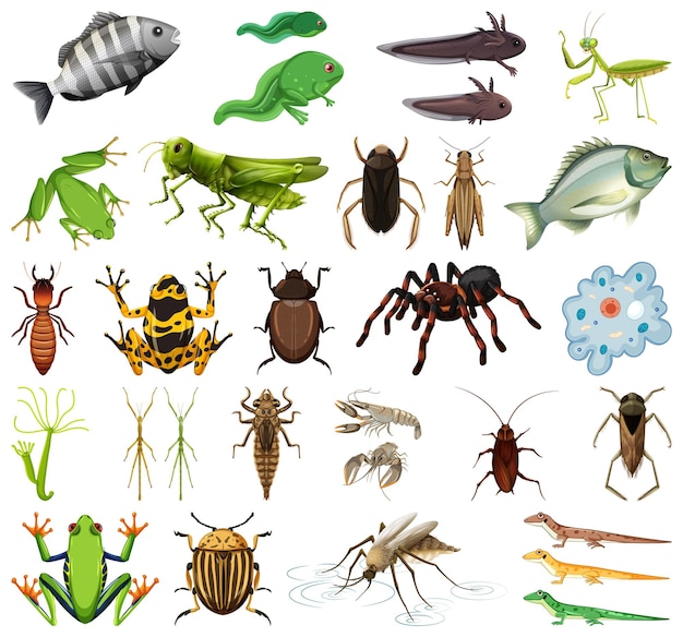 무료 벡터 흰색 바탕에 곤충과 동물의 다른 종류