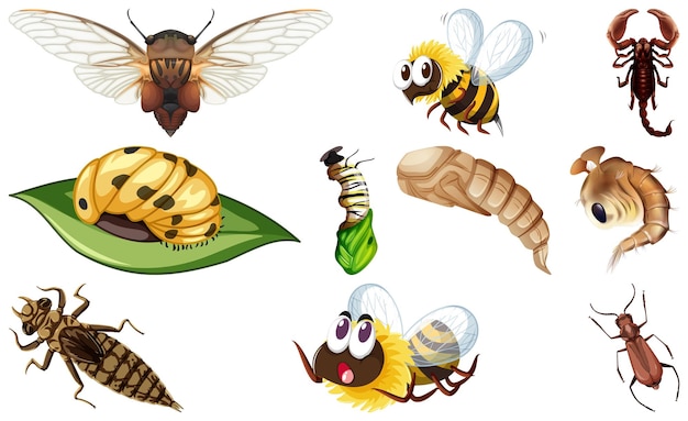 Бесплатное векторное изображение Различные виды коллекции насекомых