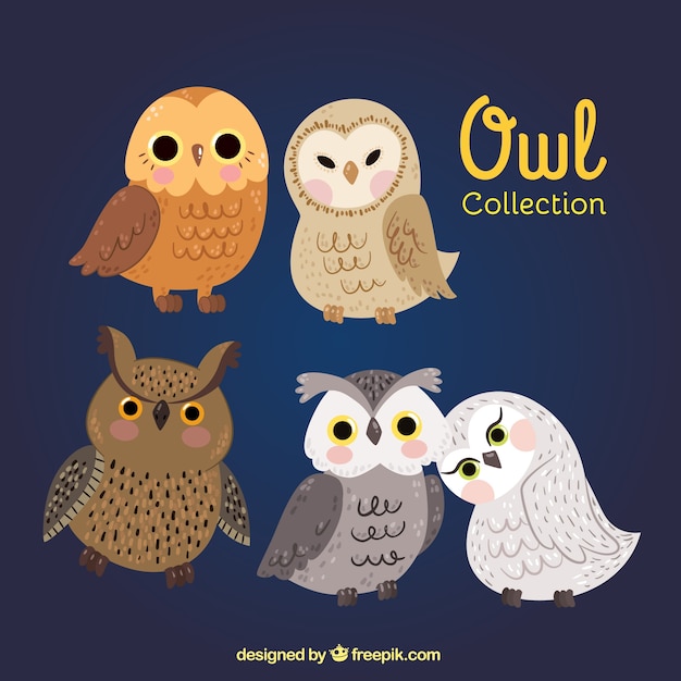 Free vector different kinds of owls