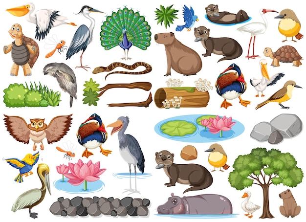 Free vector different kinds of wild animals collection