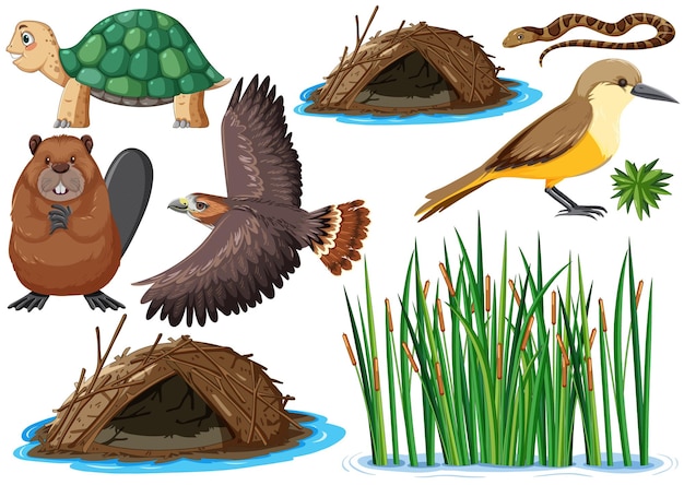 Free vector different kinds of wild animals collection