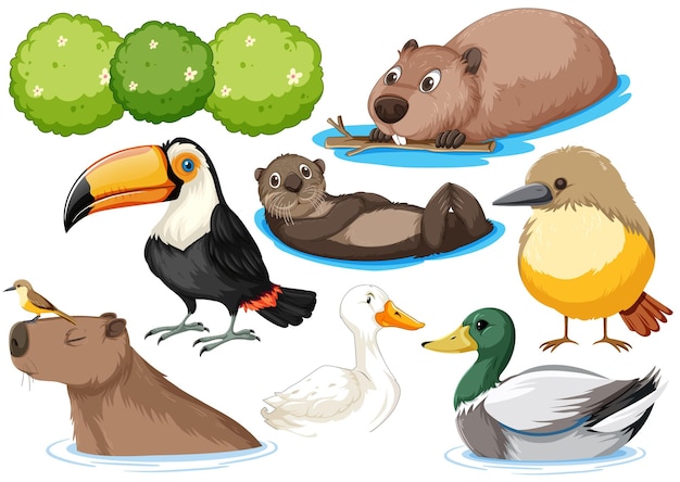 Free vector different kinds of wild animals collection