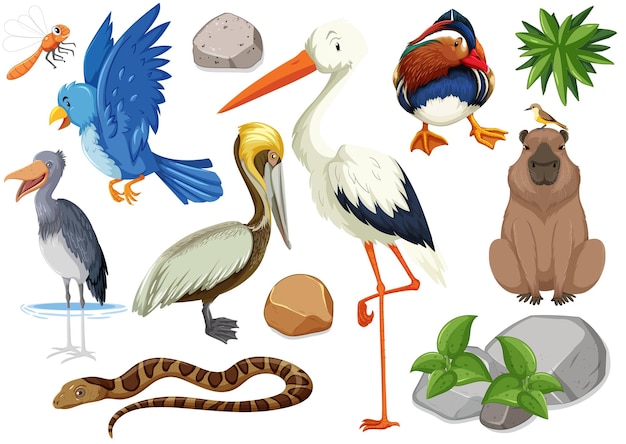 Different kinds of wild animals collection