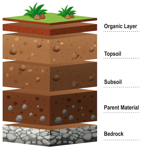 Free vector different layers of soil on earth