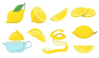 Набор плоских предметов различных кусочков лимона.