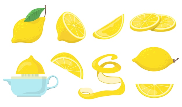 Different lemon pieces flat item set.