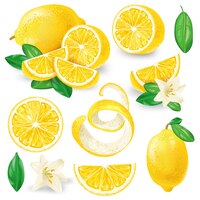 Различные лимоны с листьями и цветами