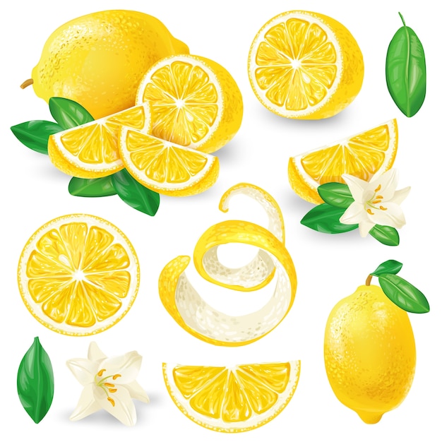 Different lemons with leaves and flowers vector