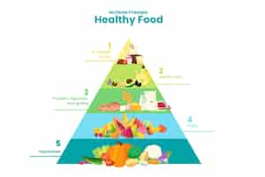 Free vector different levels on food pyramid