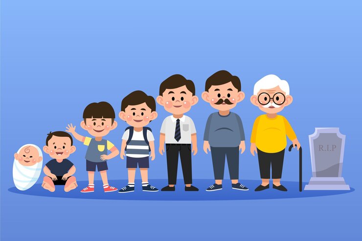 무료 Vector 남자의 다른 생애주기 단계