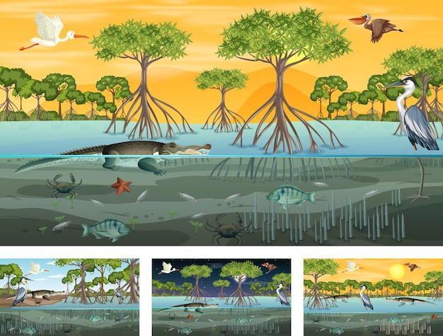 Different mangrove forest landscape scenes with animals and plants