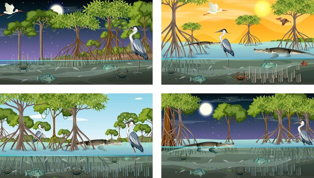 Different mangrove forest landscape scenes with animals and plants