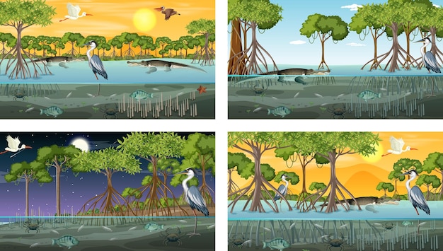 Different mangrove forest landscape scenes with animals and plants