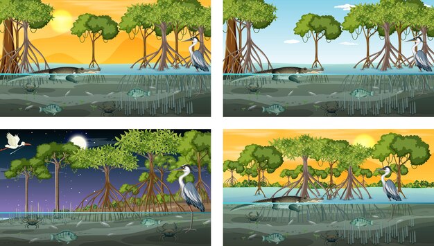 Different mangrove forest landscape scenes with animals and plants