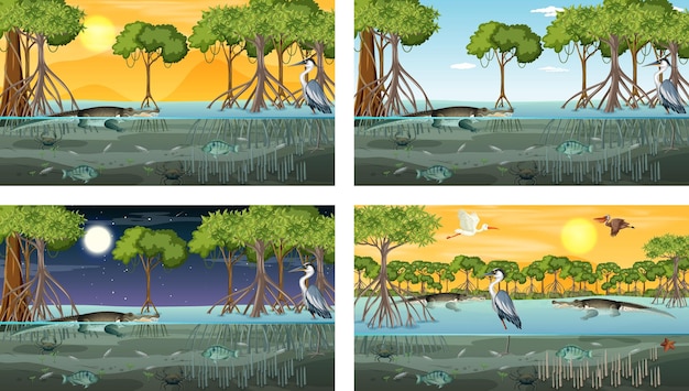 Vettore gratuito diverse scene di paesaggi di foreste di mangrovie con animali e piante