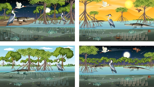Различные сцены пейзажа мангрового леса с животными и растениями