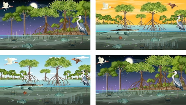 Different mangrove forest landscape scenes with animals